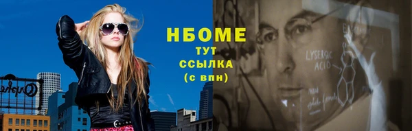 прущие грибы Вяземский