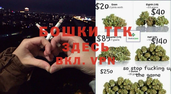 прущие грибы Вяземский