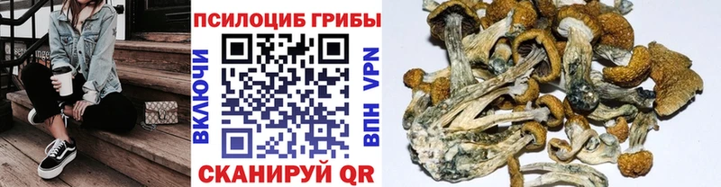 Псилоцибиновые грибы мухоморы даркнет сайт Калач